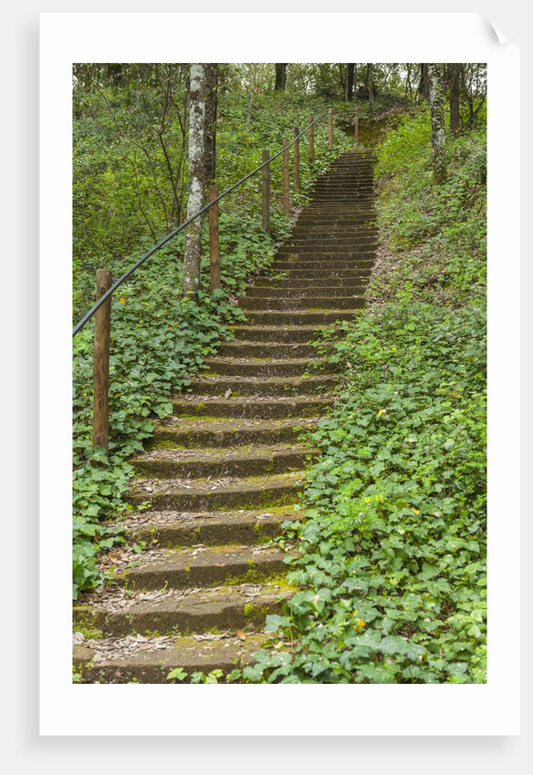 Bosco della Ragnaia, garden created by Sheppard Craige