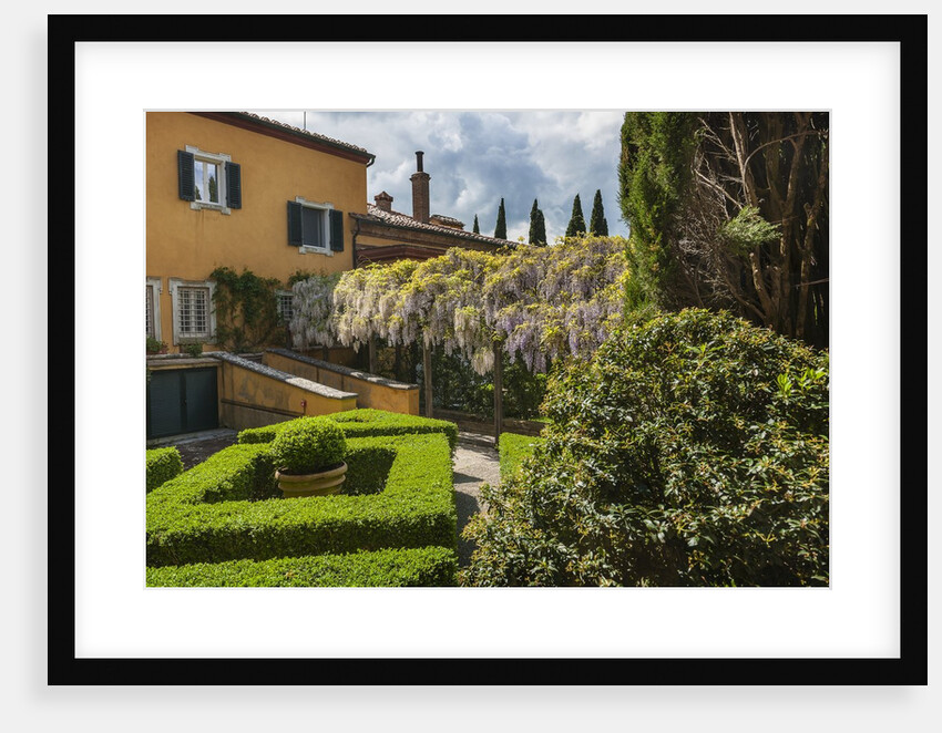 Villa La Foce Garden by Anonymous