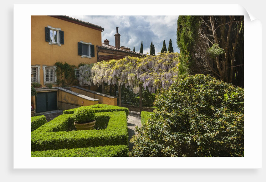 Villa La Foce Garden by Anonymous