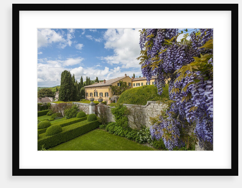 Villa La Foce Garden by Anonymous