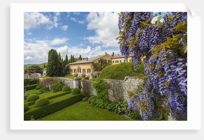 Villa La Foce Garden by Anonymous