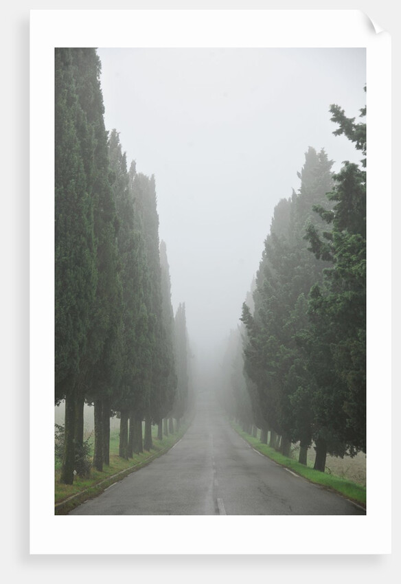 Road to Panna by Anonymous