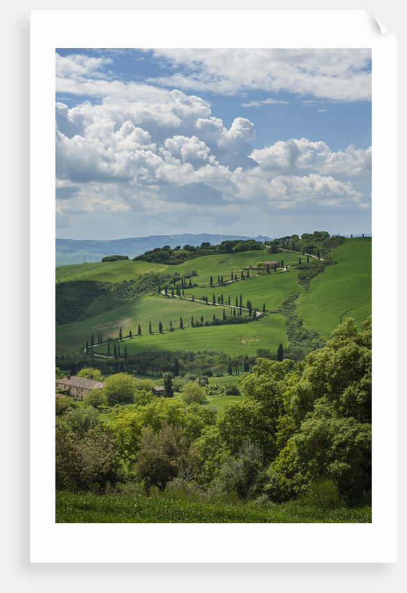 Val d'Orcia View from Villa La Foce by Anonymous
