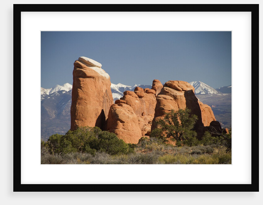 Devil's Garen and the La Sal Mountains by Anonymous