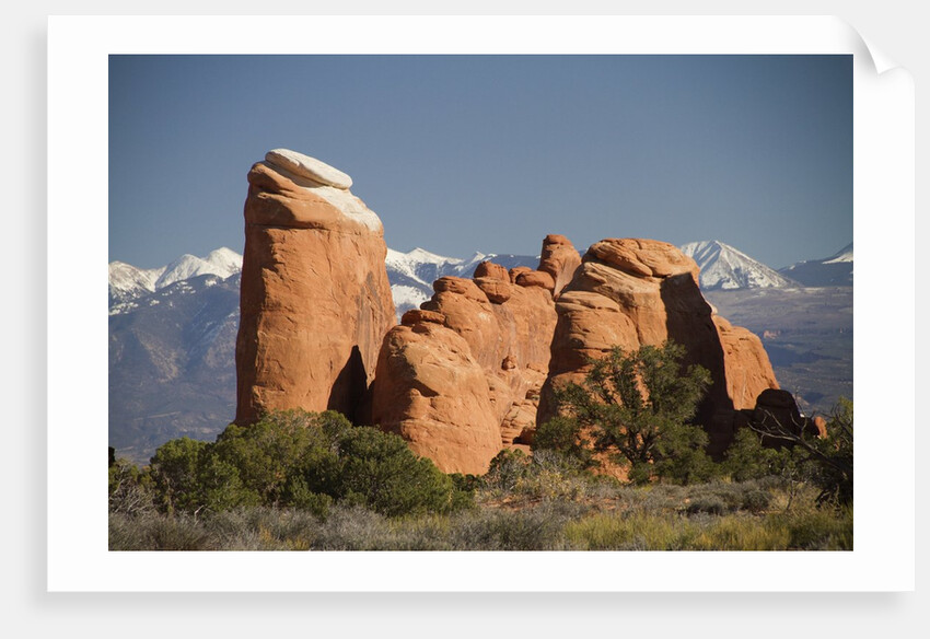 Devil's Garen and the La Sal Mountains by Anonymous