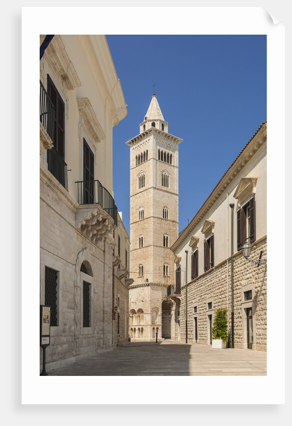 View of the Cathedral by Anonymous