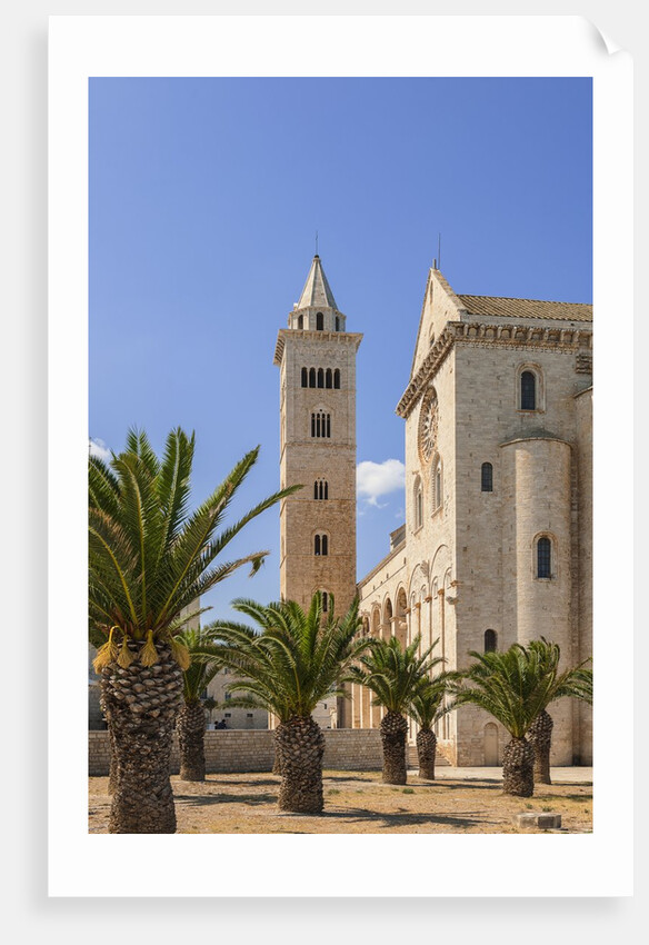 View of the Cathedral by Anonymous