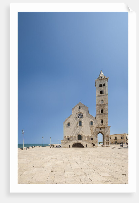 View of the Cathedral by Anonymous
