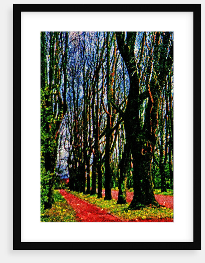 Trees and Way by Anonymous