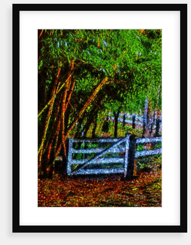 Gate by Anonymous