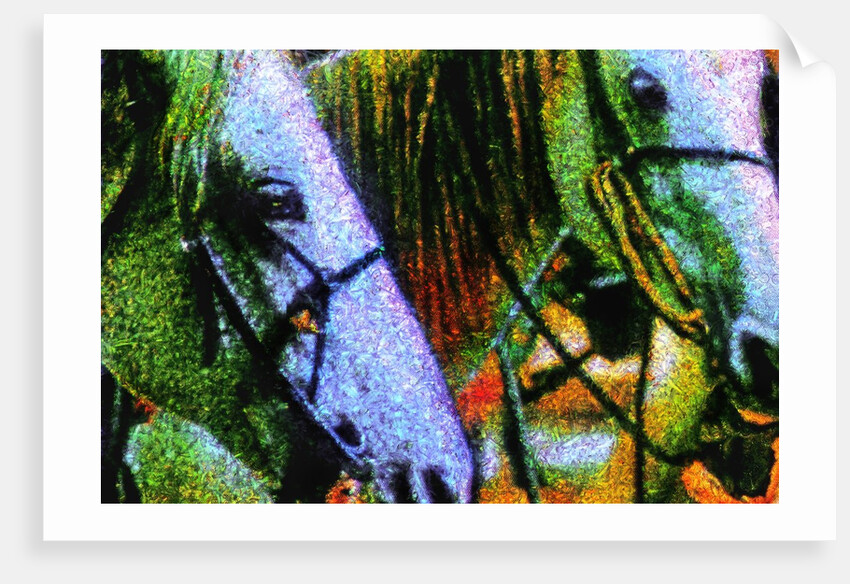 Horses by Anonymous