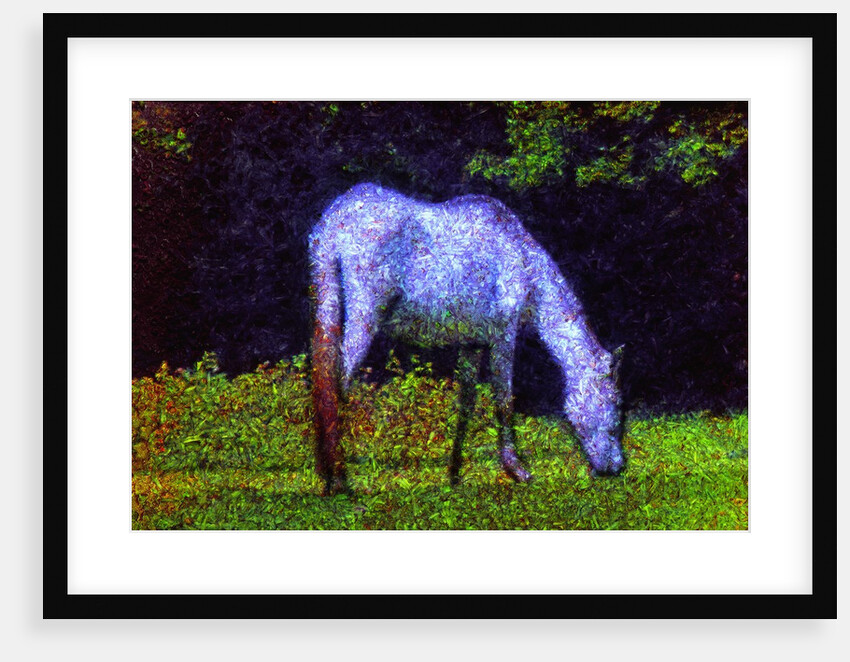 White Horse by Anonymous