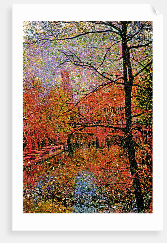 Tree and Canal by Anonymous
