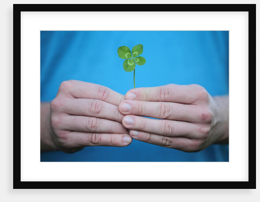 Man holding four-leaf clover by Anonymous