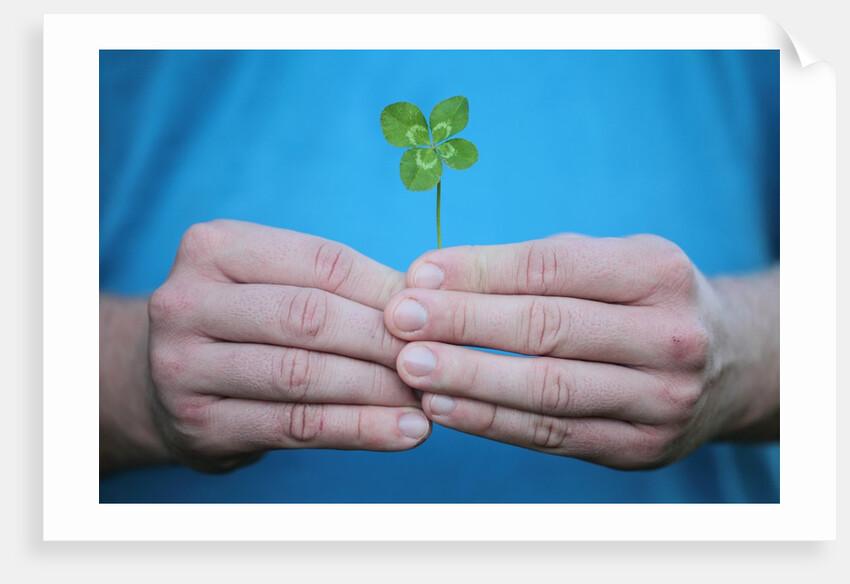 Man holding four-leaf clover by Anonymous