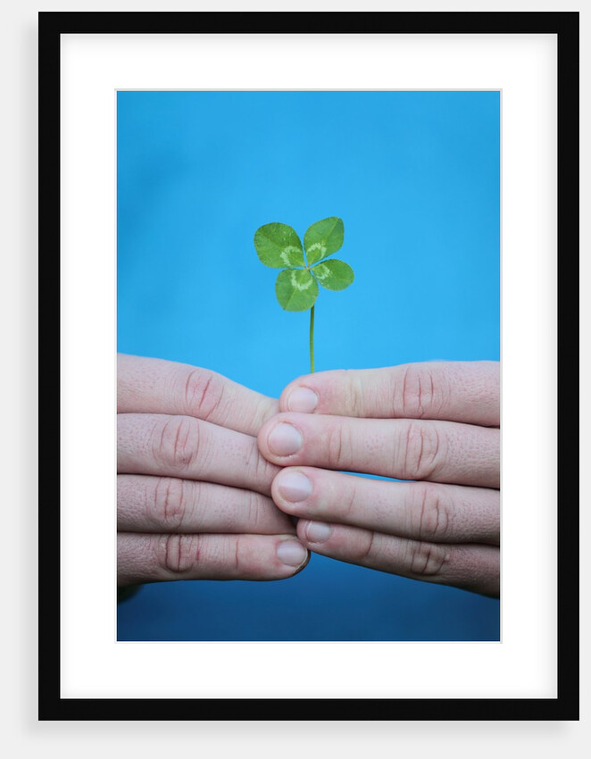 Man holding four-leaf clover by Anonymous