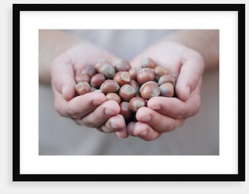 Man in khaki t-shirt holds hazelnuts in his palms by Anonymous