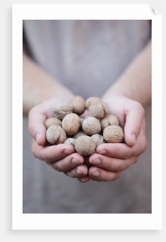Man in khaki t-shirt holds walnuts in his palms by Anonymous