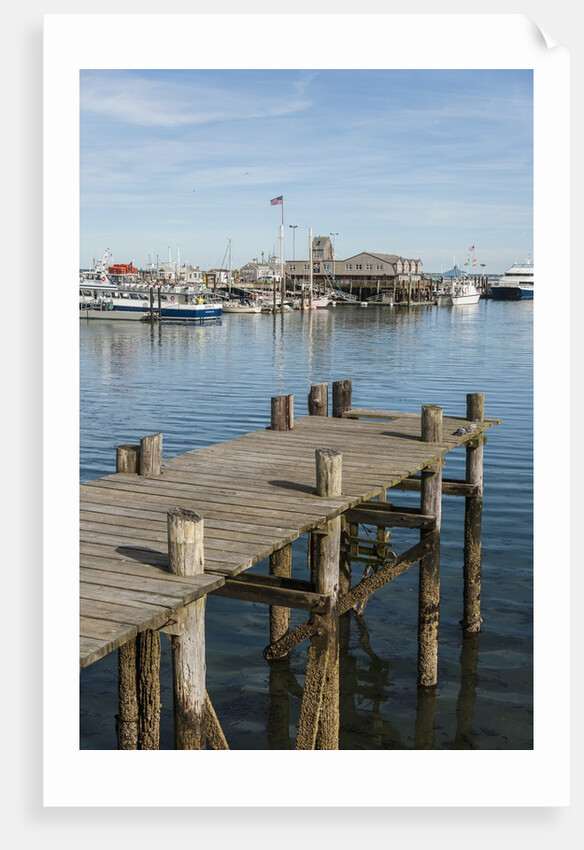 The Harbor by Anonymous