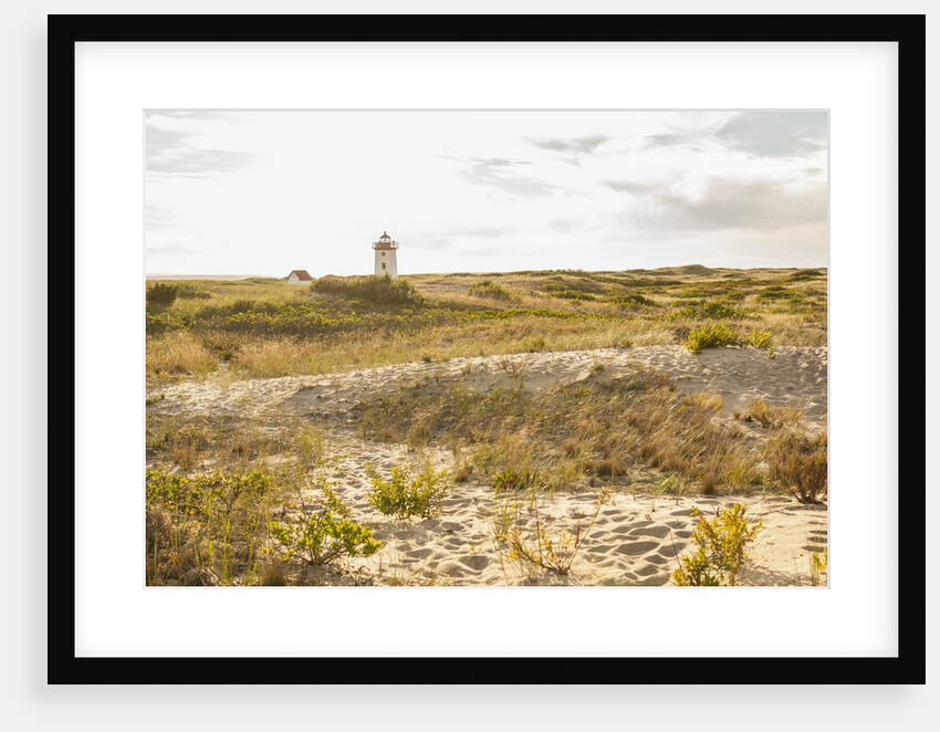 Race Point by Anonymous