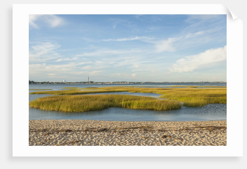 Race Point by Anonymous