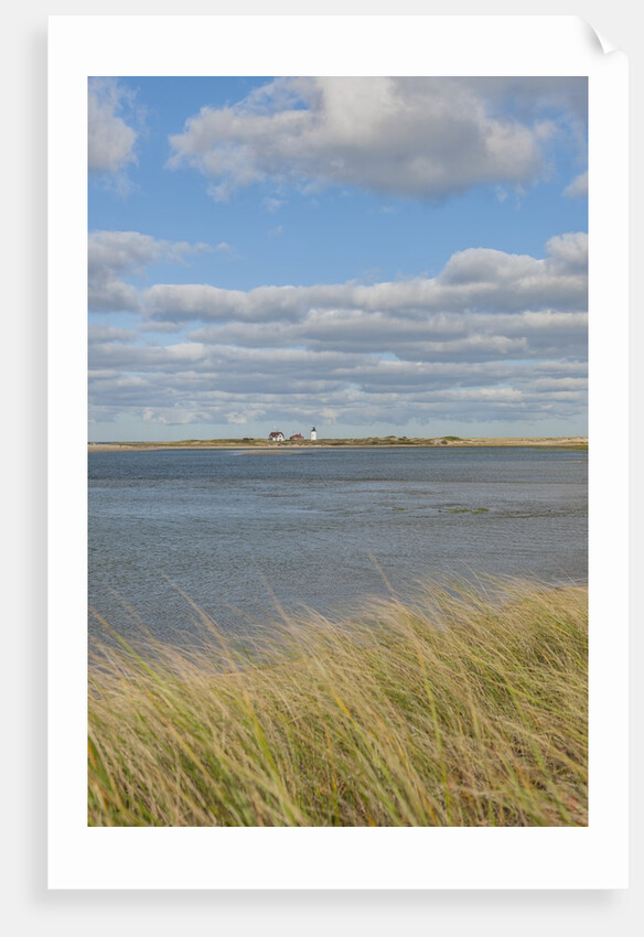 Matches Harbor by Anonymous