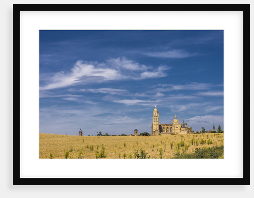 View of the Cathedral by Anonymous