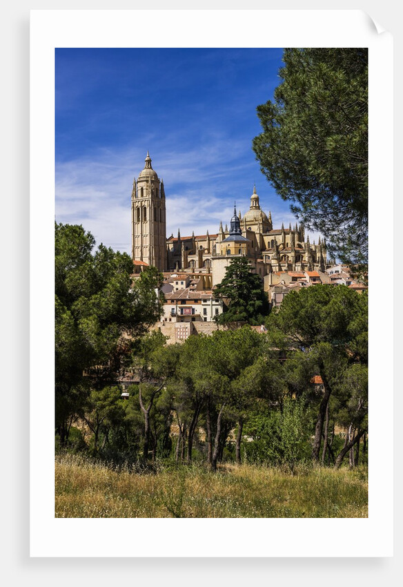 The Cathedral and the town by Anonymous