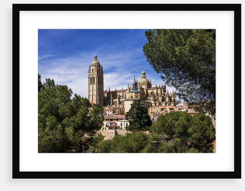 The Cathedral and the town by Anonymous