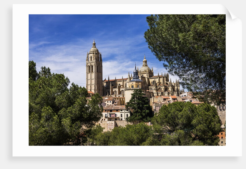 The Cathedral and the town by Anonymous