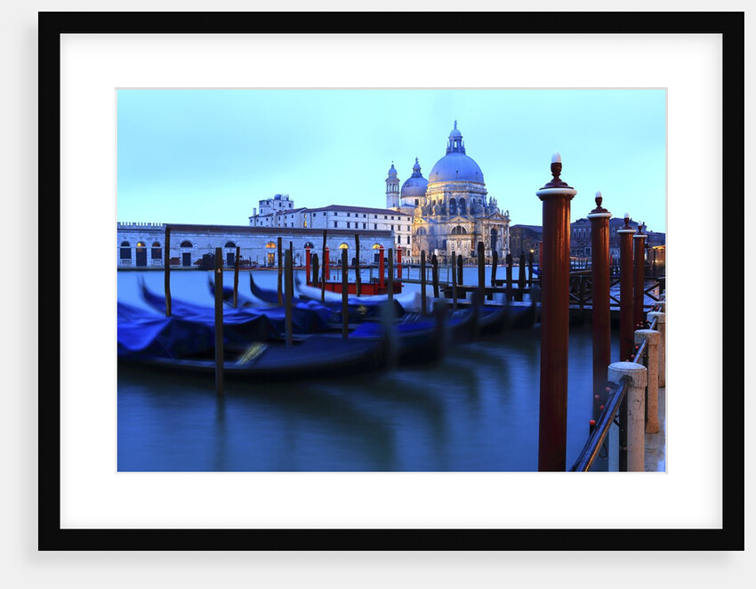 S.Maria della Salute church on the Canal Grande. by Anonymous
