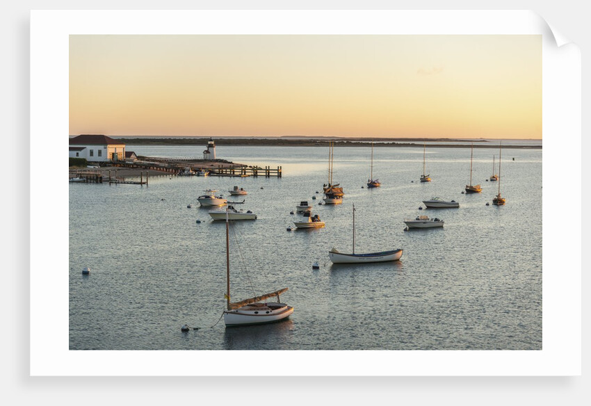 The Harbor by Anonymous