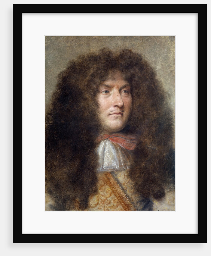 Portrait of Louis XIV, by Charles le Brun