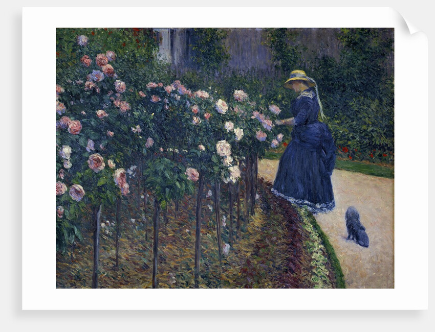 Roses in the Garden at Petit Gennevilliers by Gustave Caillebotte