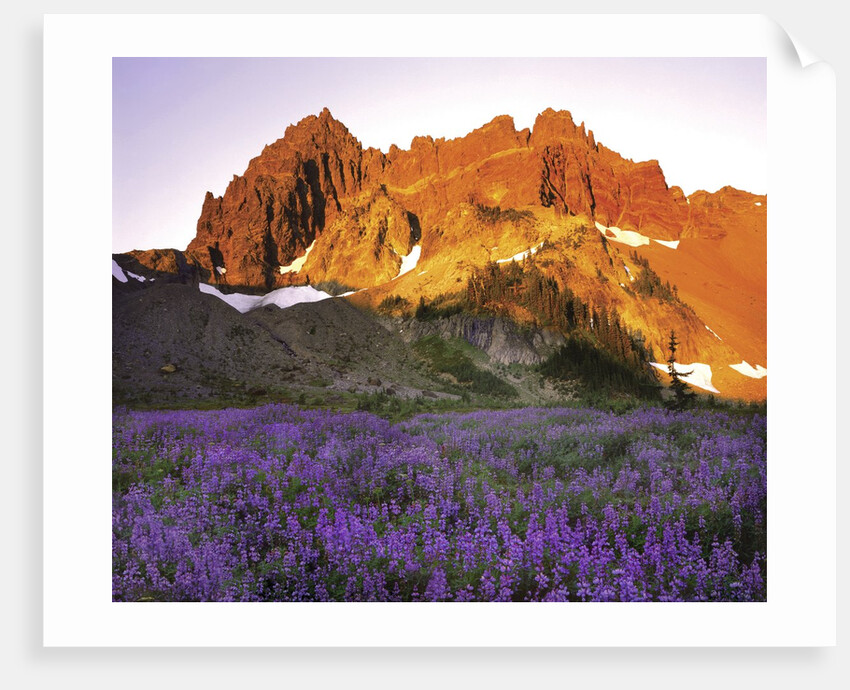 Three Fingered Jack Mountain by Anonymous