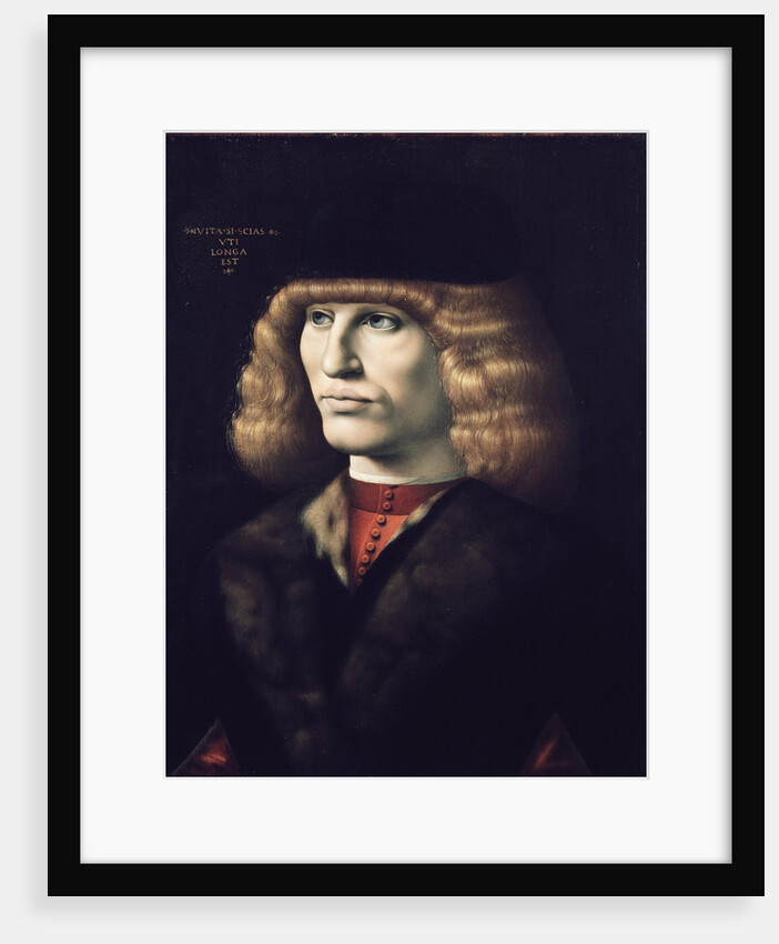 Rich young man wearing a fur by Giovanni Ambrogio de Predis