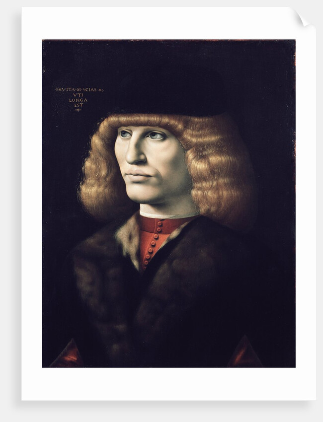 Rich young man wearing a fur by Giovanni Ambrogio de Predis