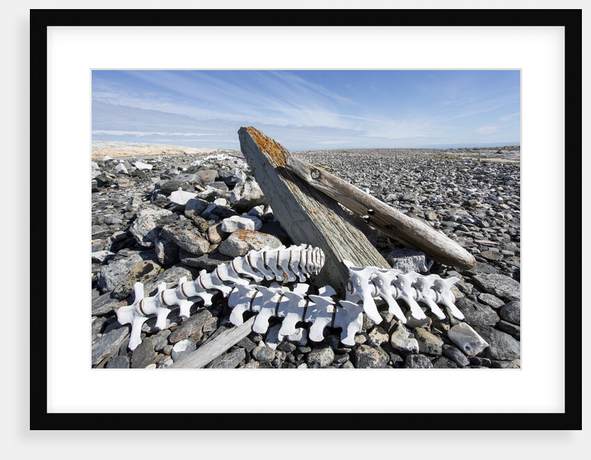 Whalers' Graves, Deadman Island, Nunavut, Canada by Anonymous