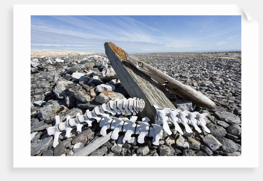 Whalers' Graves, Deadman Island, Nunavut, Canada by Anonymous