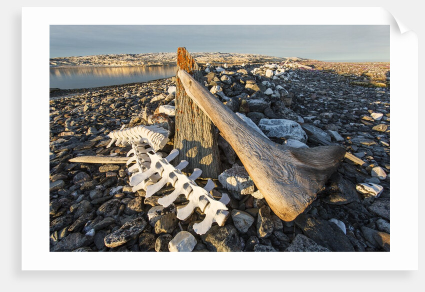 Whalers' Graves, Deadman Island, Nunavut, Canada by Anonymous
