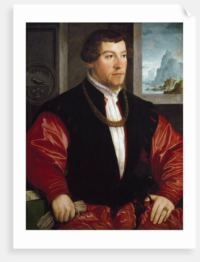 Portrait of Christoph Baumgartner by Christoph Amberger