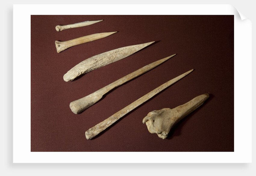 Assorted Bone Needles by Anonymous