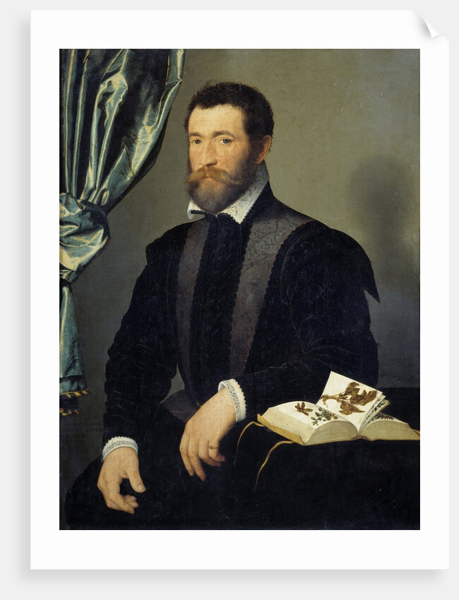 Portrait of the apothecary Pierre Quthe by Francois Clouet