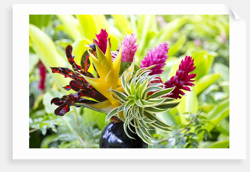 Hawaiian Tropical flower arrangement by Anonymous