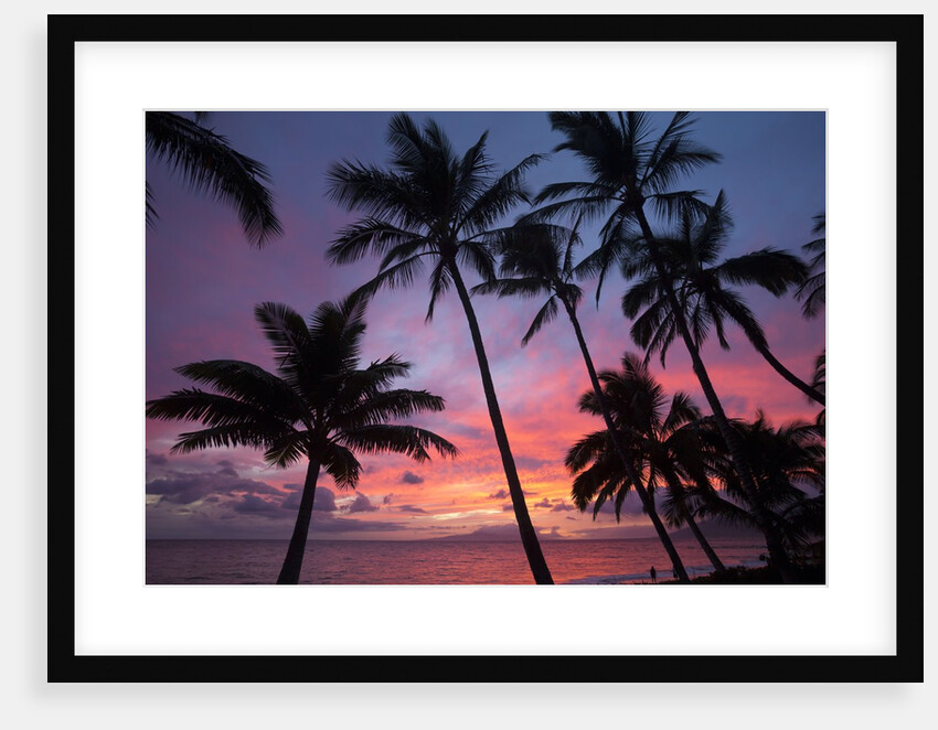 Palm trees at sunset on Keawekapu beach, Wailea, Maui, Hawaii by Anonymous