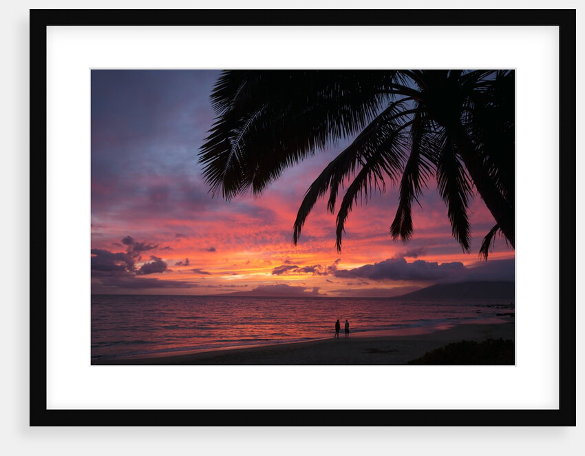 Palm trees at sunset on Keawekapu beach, Wailea, Maui, Hawaii by Anonymous