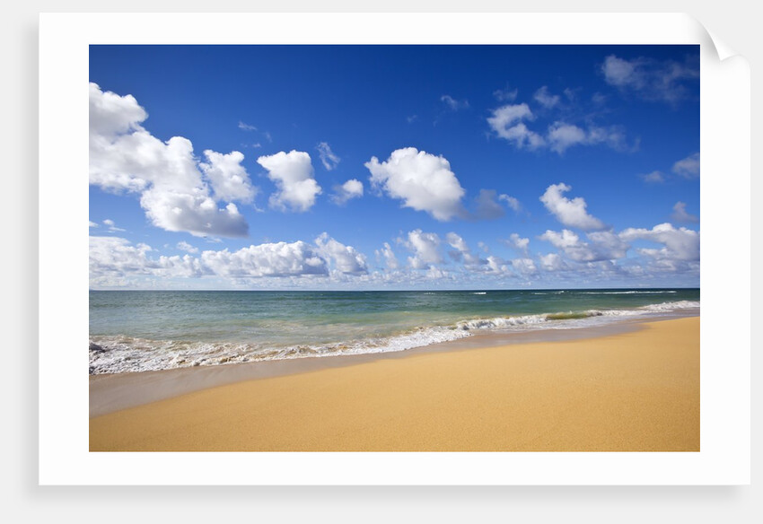 Baldwin Beach, Maui, Hawaii by Anonymous