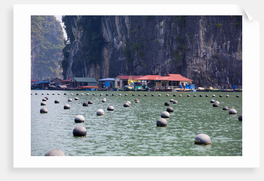 Vung Vieng Fishing Village in Bai Tu Long Bay, Halong Bay World Heritage Site, Vietnam by Anonymous
