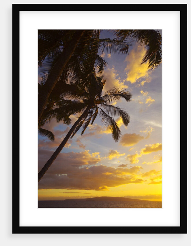 Sunset with palm trees in Kihei, Maui, Hawaii by Anonymous