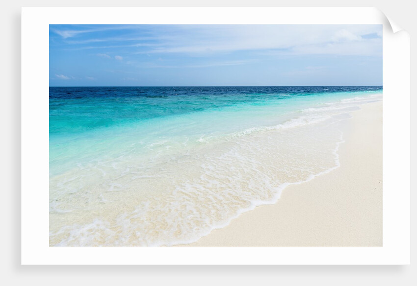 Idyllic beach in the Maldives by Anonymous